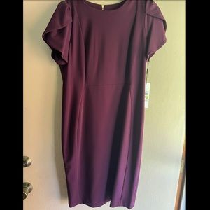 NEW Calvin Klein Dress